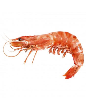 Langostino 250gr