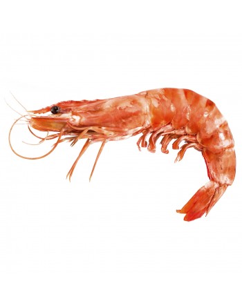 Langostino 800gr